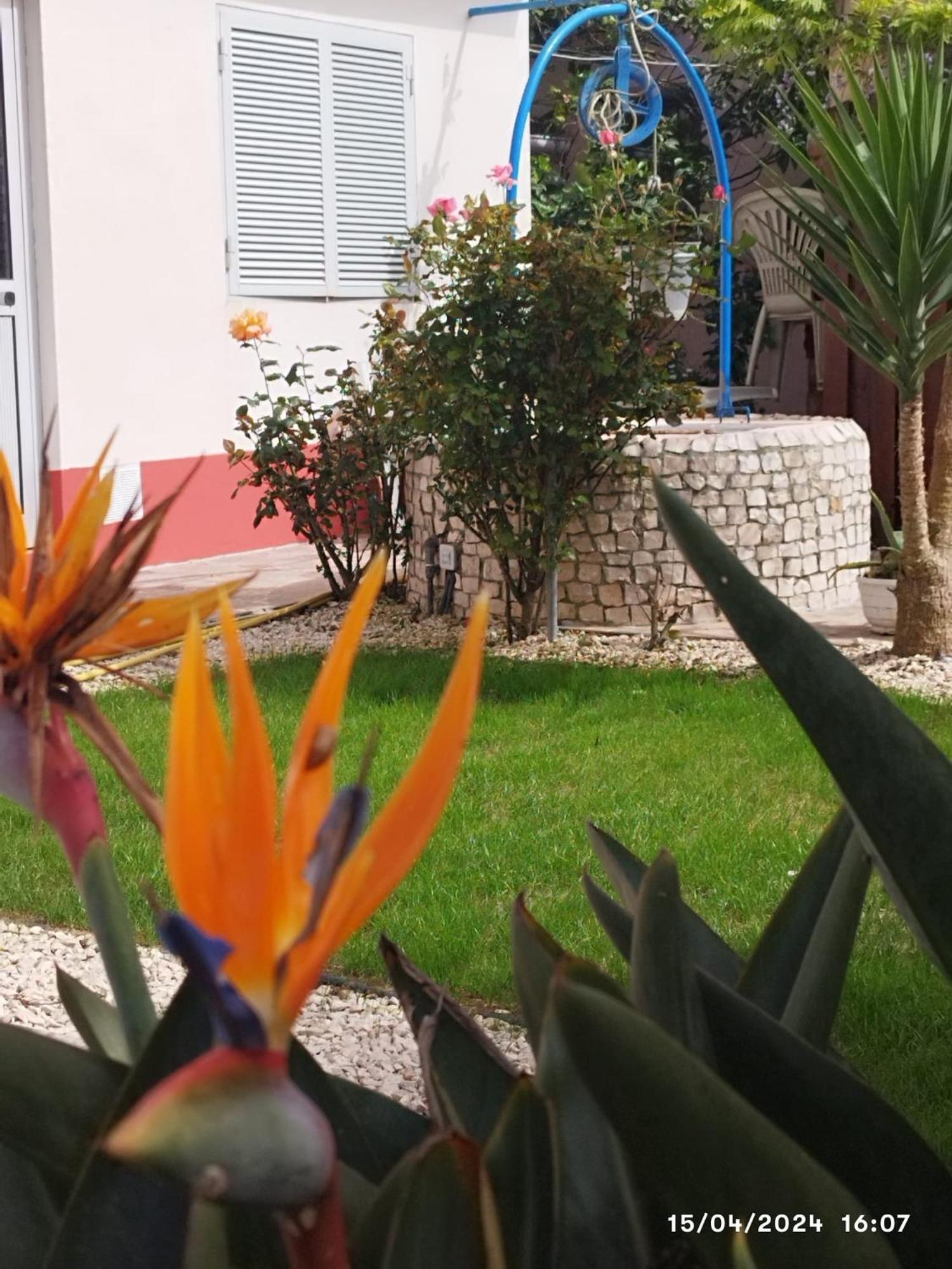 Ranch Lau&Ri Nazare Apartamento Cela Velha Exterior foto